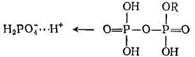 активный комплекс представляет собой сложный протонированный эфир фосфорной кислоты