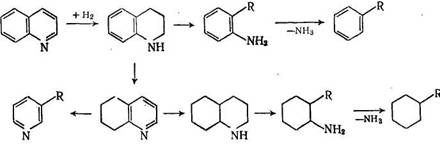 объяснение    заключается    в    изомеризации 1,2,3,4-тетрагидрохинолина  в  5,6,7,8-тетрагидрохинолин