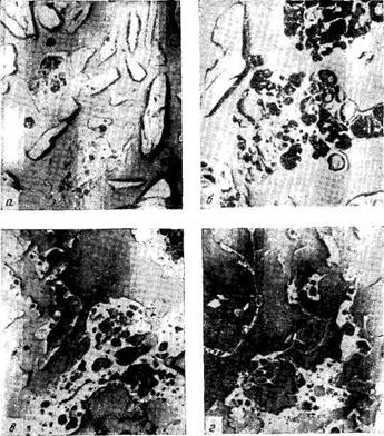 Увеличенные микрофотографии полукоксов, полученных полукоксова­нием углей различной степени углефикации в псевдоожиженном слое